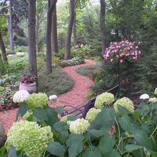 woodland landscape
