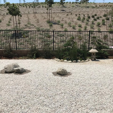 Drought Resistant Design