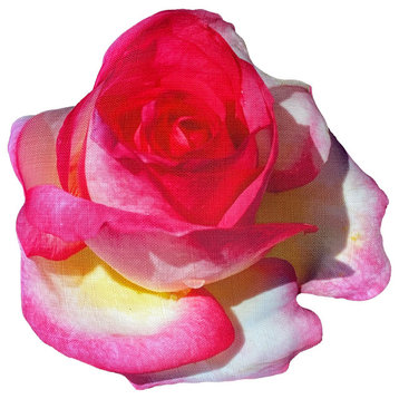 Peace Rose 3D Pillow