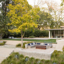 Modern House