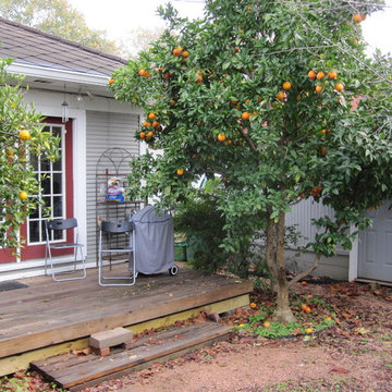 Beautiful Oranges Trees and Lots of Shade