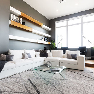 the FUSION - bonus room/theatre room