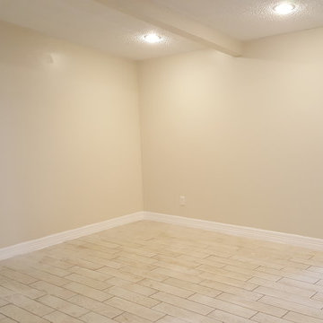Living Room Renovation and Addition