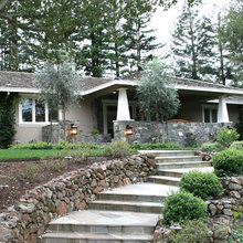 Exterior Ideas
