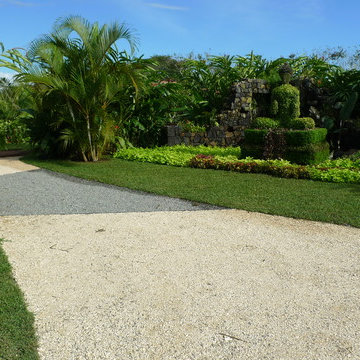 The Tropical Maze