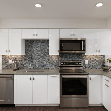Northwest Washington, DC Renovated Condominium- Meridian Homes Inc.