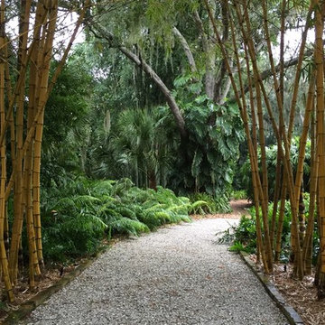 Florida Eclectic, Hurricane Impact & Sustainable Paradise