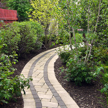 Pathways