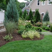 Landscaping Side Yard