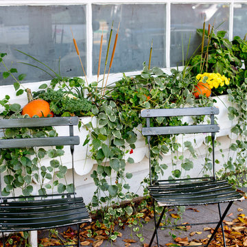 Houzz TV: Take a Leaf-Peeping Road Trip in New England