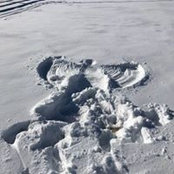 Lynn Dasinger Engum's photo
