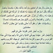 Alaa Edrees's photo