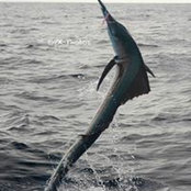 James Kamien's photo