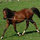 alyth_long