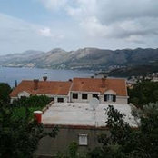 Mary Horst's photo