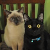Jackie Poplar's photo