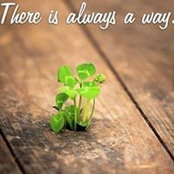 Lisa Hunter's photo