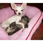 Susan Vasta's photo