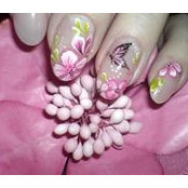Stacey Shaw's Nails's photo