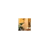 Anwar Armando Cossa's photo