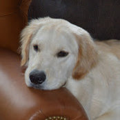 Photo de C Lo