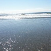 Peggy Duyn Kidd's photo