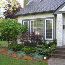 Front landscape