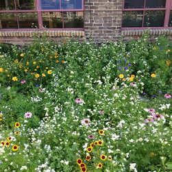 Omni Green Roof - Products