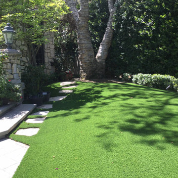 Completed Lawns and Turfs