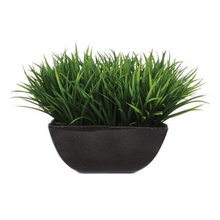 Faux Grass & Succulents