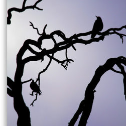 Canvas prints - "Silence" - Photographs