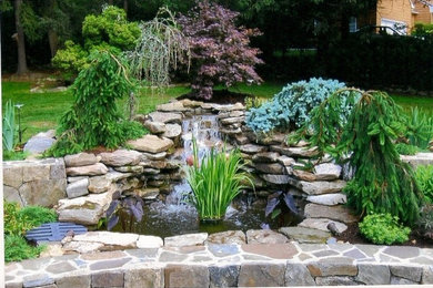 Landscape Design & Installation Projects