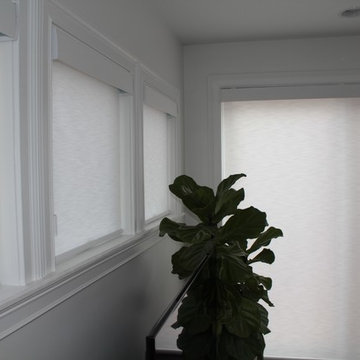 Bucktown Roller Shades