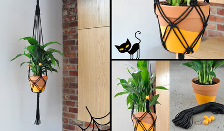 Craft: How to Make Your Own Personalised Macramé Plant Hanger