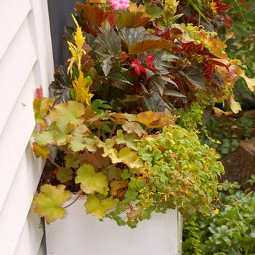container plantings for summer