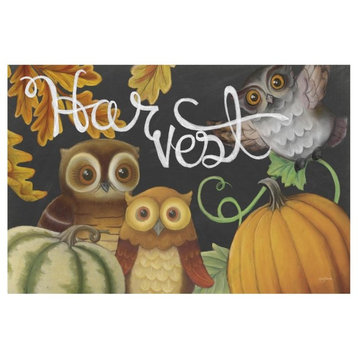 "Harvest Owl IV" Digital Paper Print by Mary Urban, 62"x42"