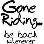 David Wallis's photo