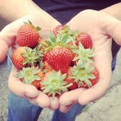 Amy Zoethout's photo