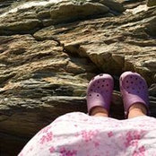Lisa Nicholson's photo