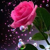 Foto de Nancy Mallernee
