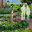 Surlaterre Landscape Architecture