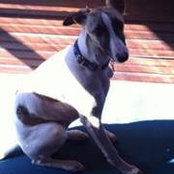 Jack Eason's photo