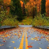 Janet Prinn's photo