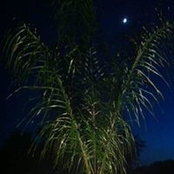 Darryl Exelby's photo