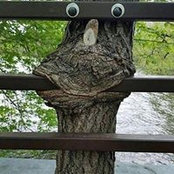 Расул Стройка's photo