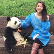 Janie Gu's photo