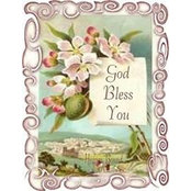 Dianne Treadaway's photo