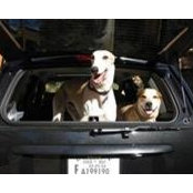 Jill Wintermantel's photo