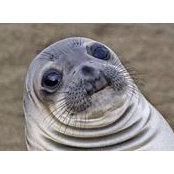 Michael Sansnom's photo