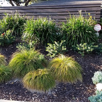 General Clean-up & Plant Additions